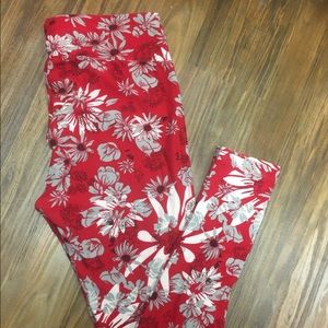 LuLaRoe Leggings - Tall & Curvy
